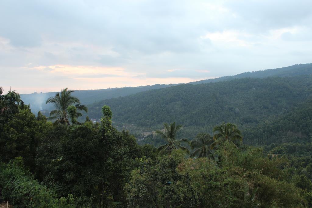 Maliana Homestay Munduk  Exterior photo