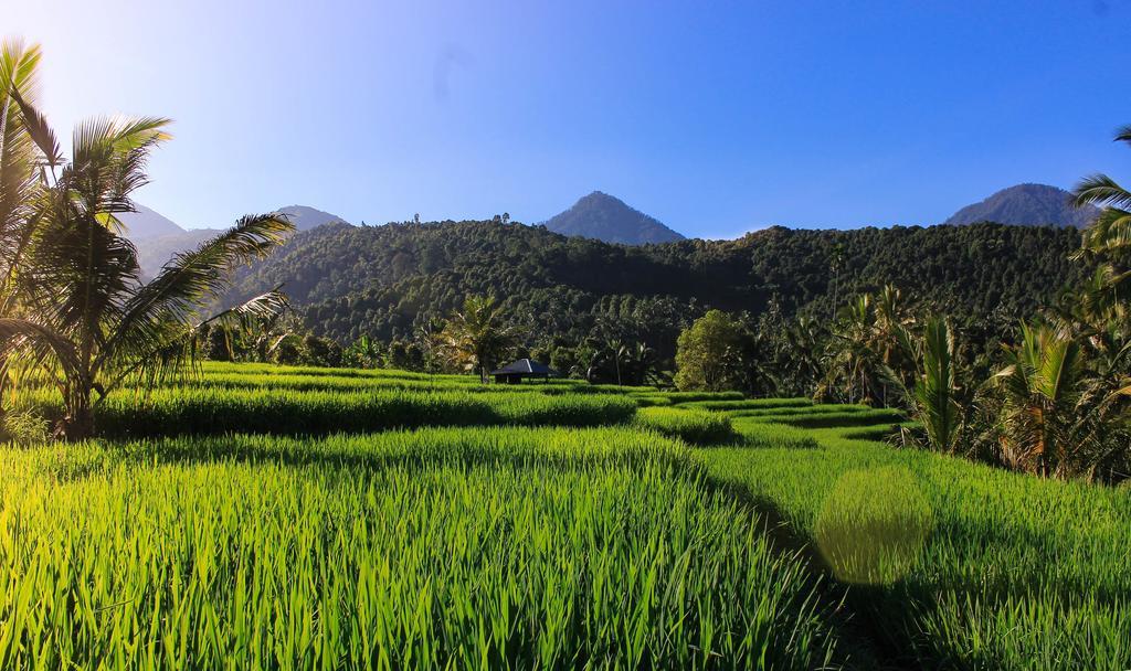 Maliana Homestay Munduk  Exterior photo